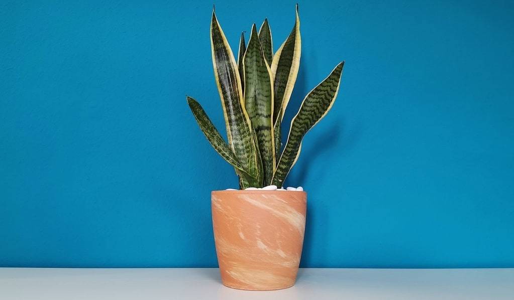 Décoration de bureau avec une plante artificielle
